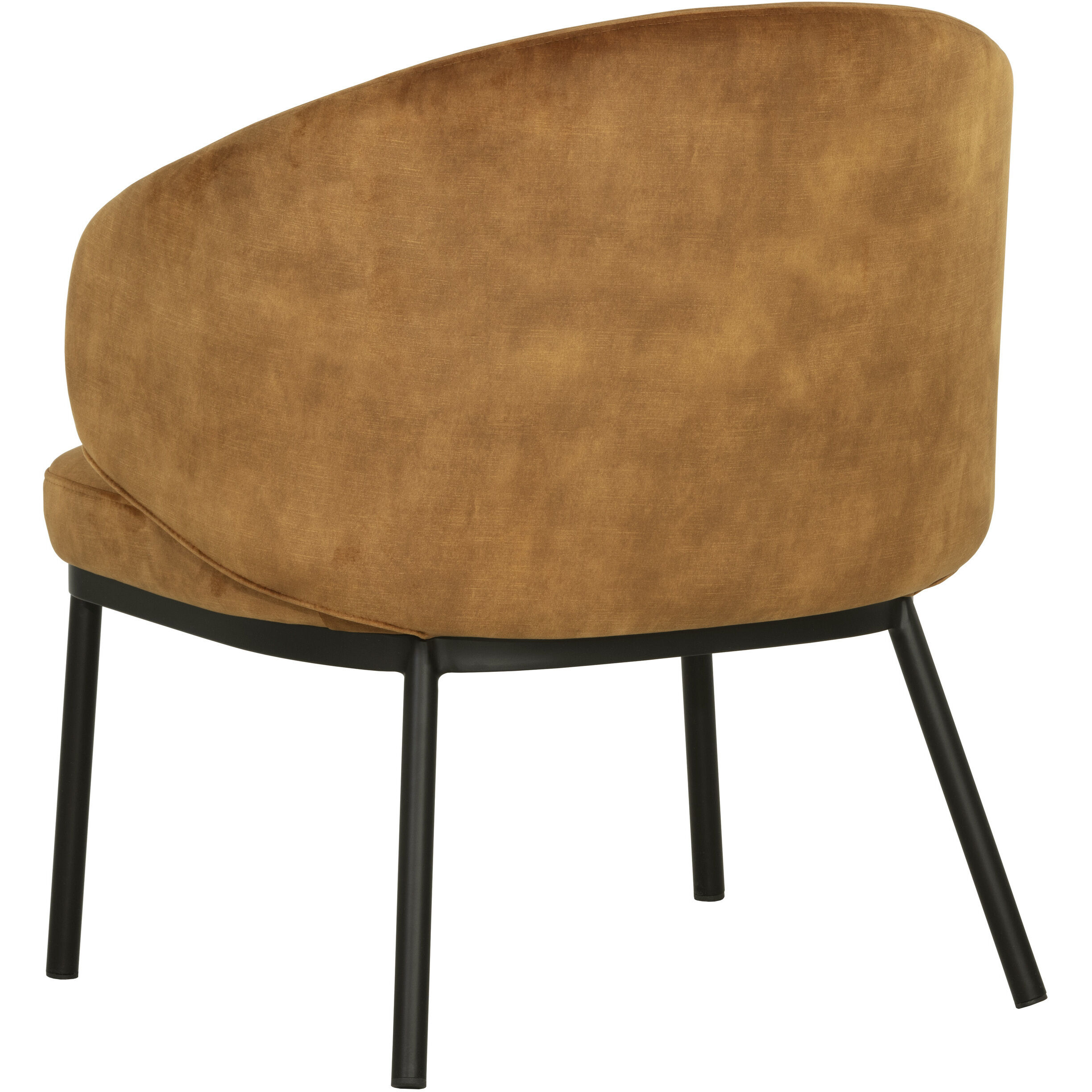 Echo Black / Nono Tapenade Gold Lounge Chair